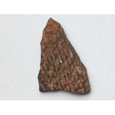 Skořápka z vejce dinosaura